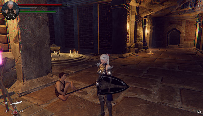 地下城的女骑士DL官方中文译码版3D动作冒险游戏1.9G