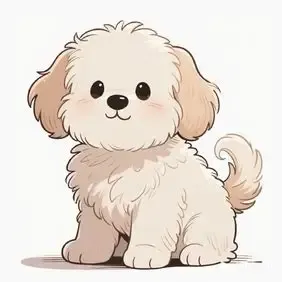 Chaoc